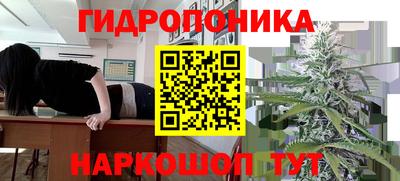 шишки Краснокаменск