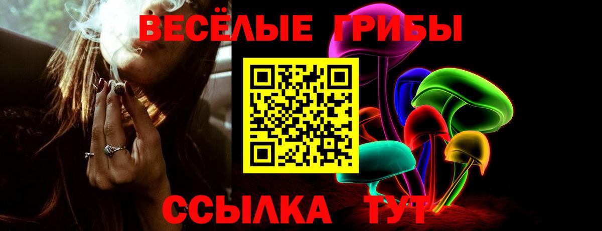Галлюциногенные грибы GOLDEN TEACHER Заволжье
