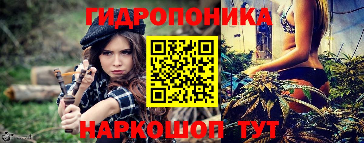 Каннабис Amnesia Заволжье